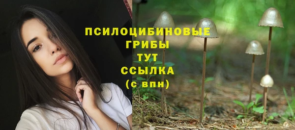 гидра Бронницы