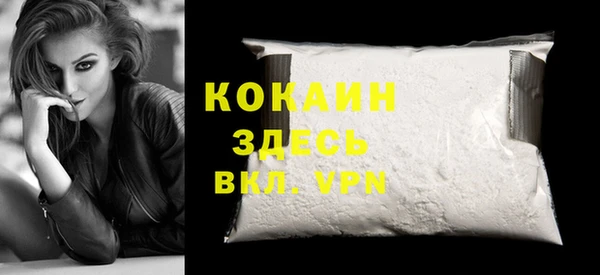 гидра Бронницы