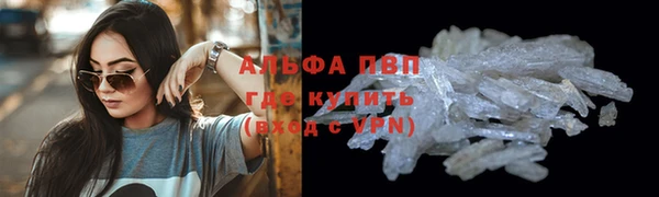 гидра Бронницы