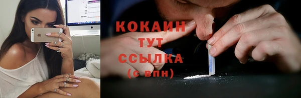 гидра Бронницы