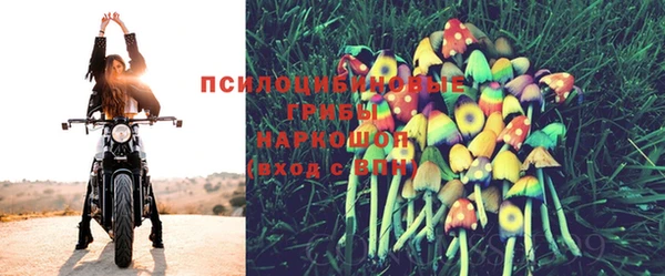 гидра Бронницы