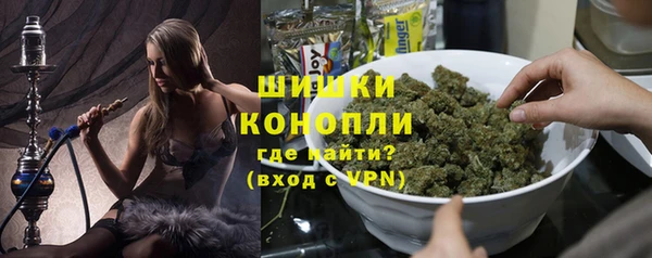 гидра Бронницы