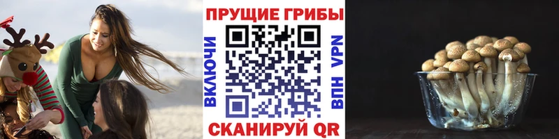 Псилоцибиновые грибы Psilocybe  где найти наркотики  Усолье 